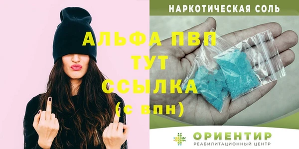 ПСИЛОЦИБИНОВЫЕ ГРИБЫ Вяземский
