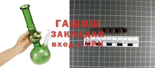 ПСИЛОЦИБИНОВЫЕ ГРИБЫ Вяземский