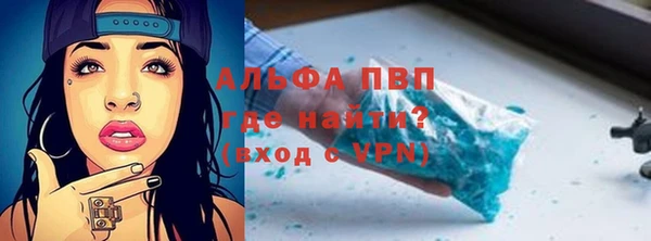 ПСИЛОЦИБИНОВЫЕ ГРИБЫ Вяземский