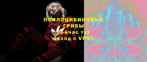 ПСИЛОЦИБИНОВЫЕ ГРИБЫ Вяземский
