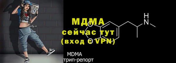 ПСИЛОЦИБИНОВЫЕ ГРИБЫ Вяземский