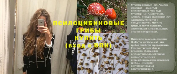 хмурый Сосновоборск