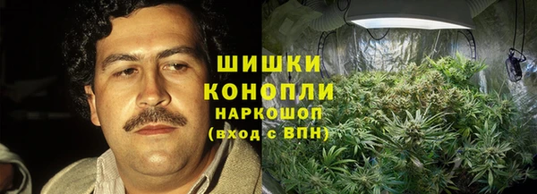 ПСИЛОЦИБИНОВЫЕ ГРИБЫ Вяземский